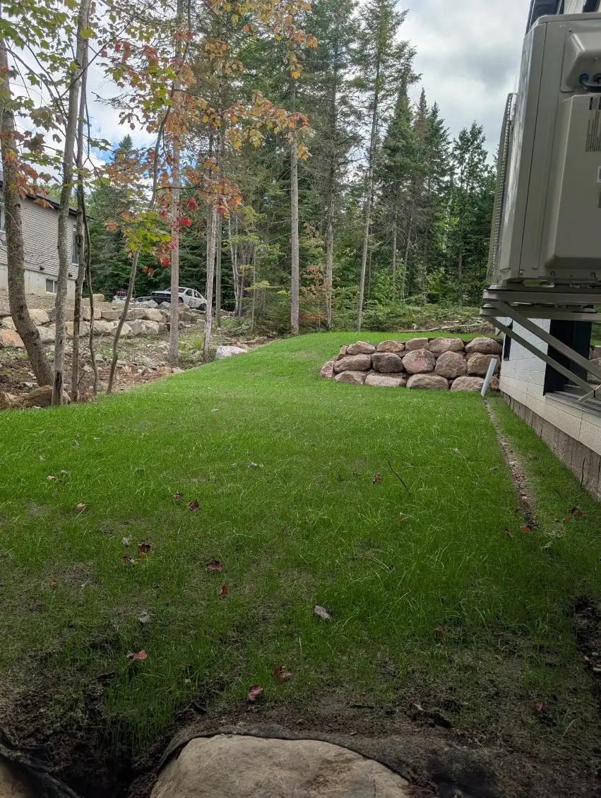 Jour 14 — pelouse établie, Rawdon