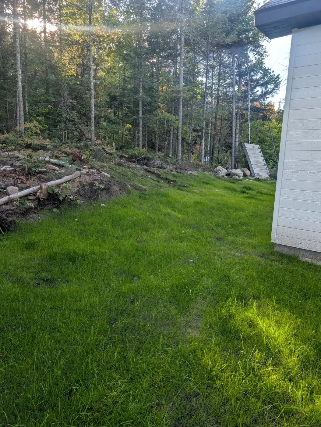 Jour 31 — pelouse établie, Rawdon
