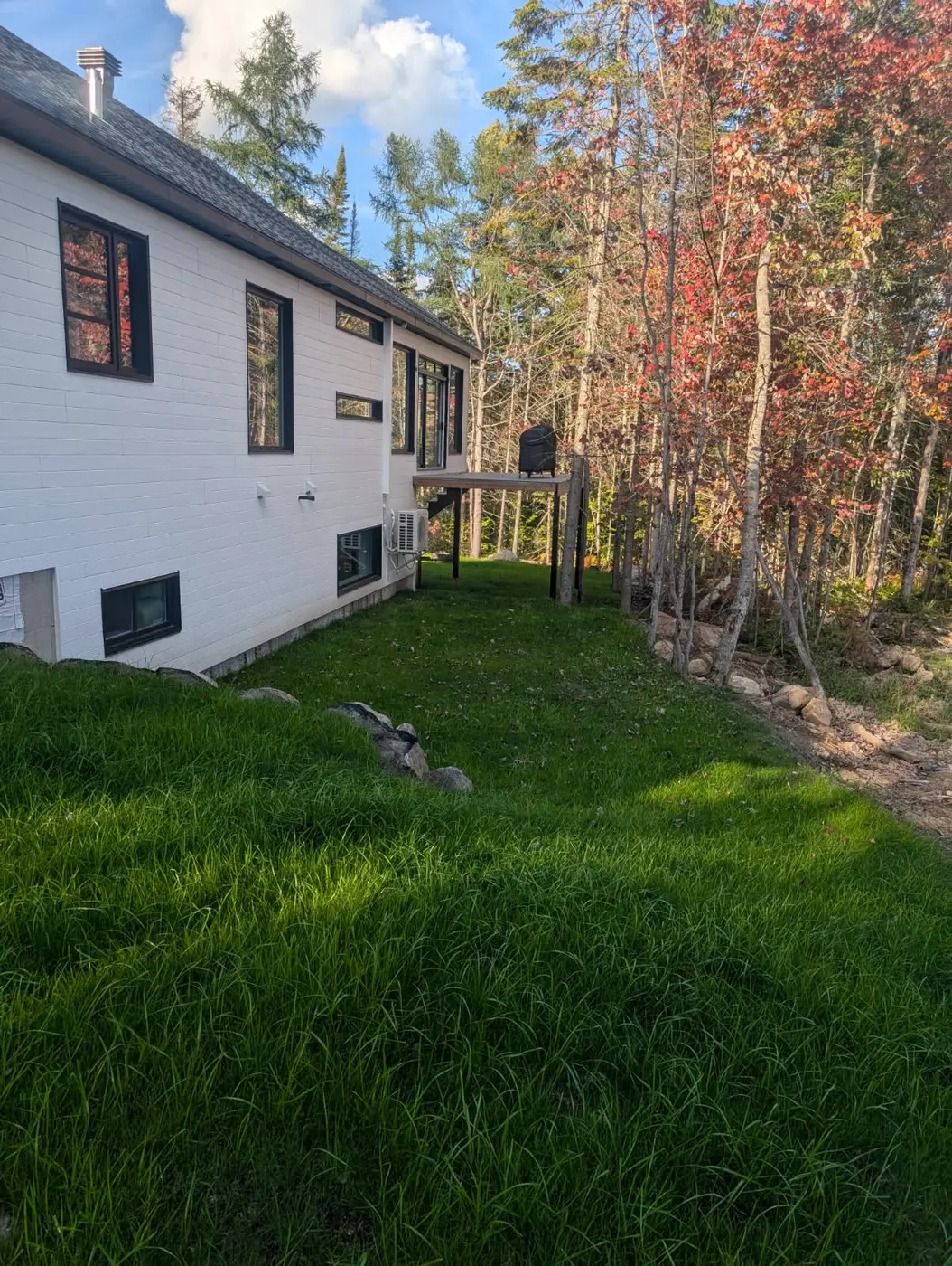 Jour 31 — pelouse établie, vue latérale, Rawdon
